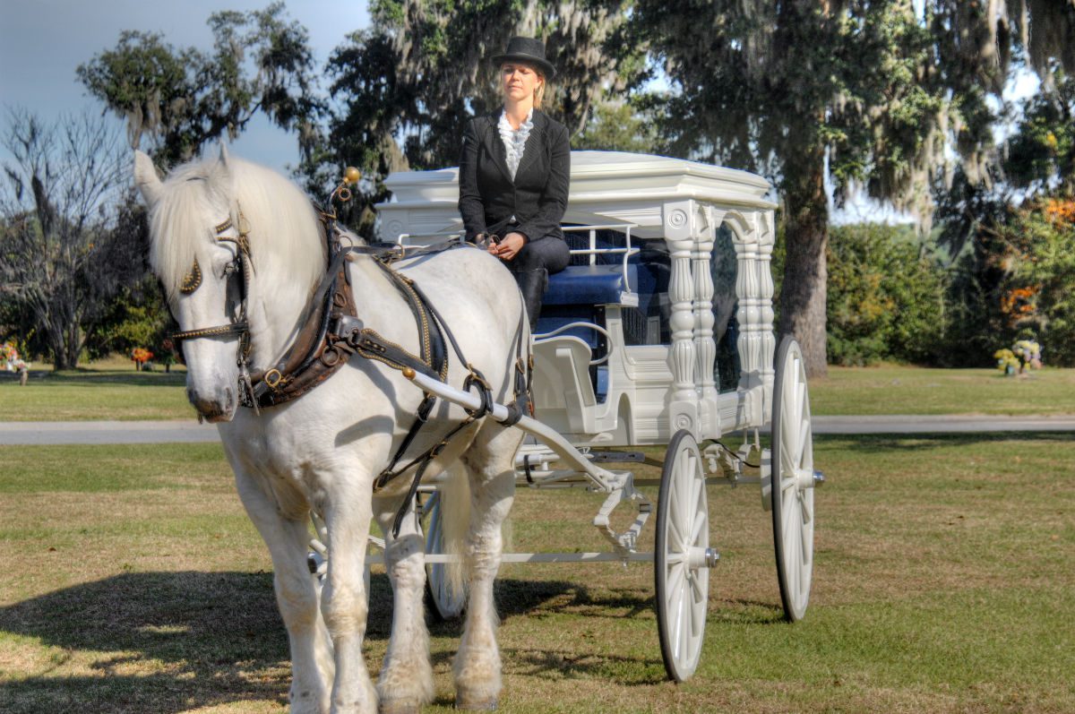 horse drawn carriage service