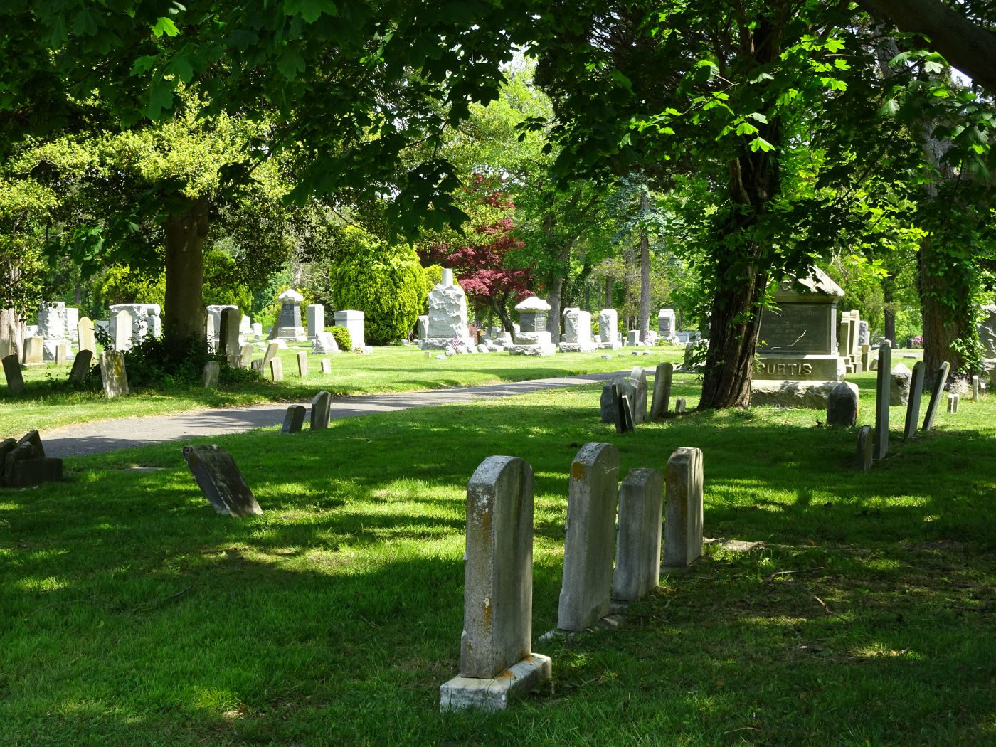 cemetery surrounded by grass and trees