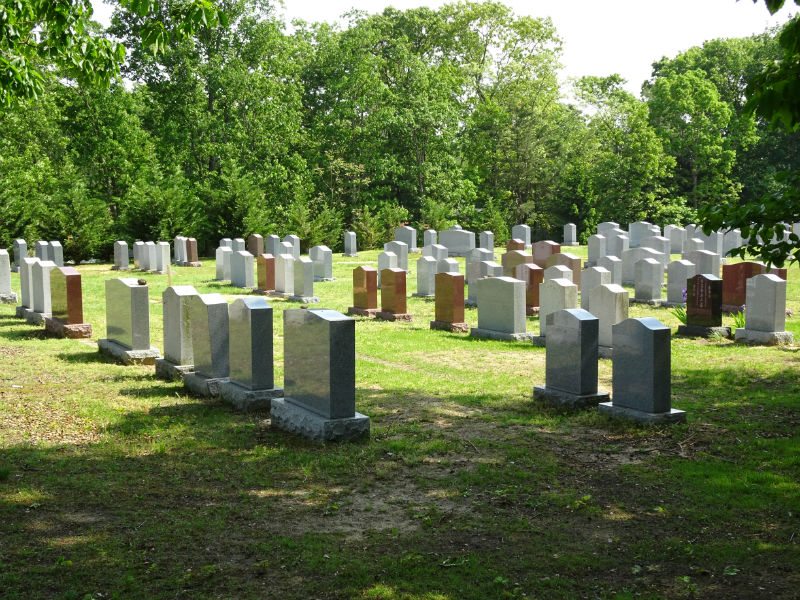 grave stones in a cemetery