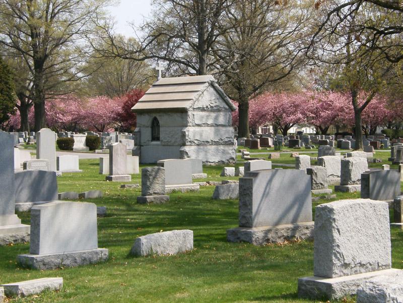 headstones in a cemetery