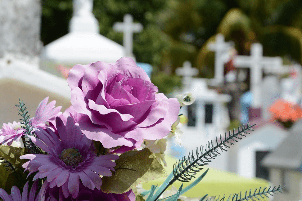 purple flowers at a cemetery