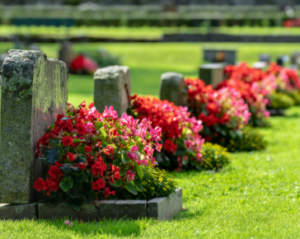 Headstones at cemetery with flowers