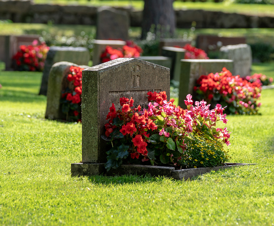 Headstones with flowers