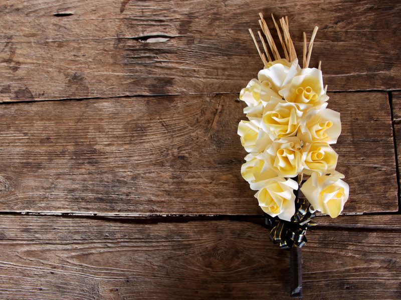 unique white and yellow flower on wood surface unique white and yellow flower on wood surface