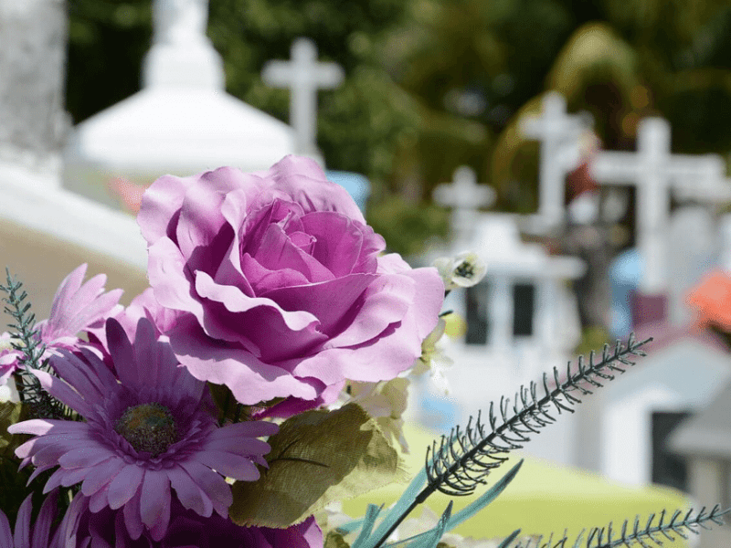 purple flowers at a cemetery